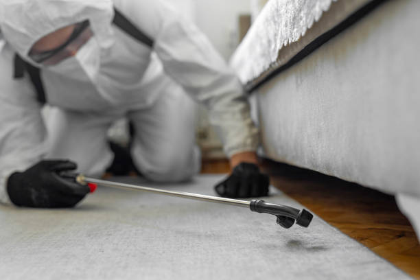 Professional Termite Control technician working in Amador Pines, CA