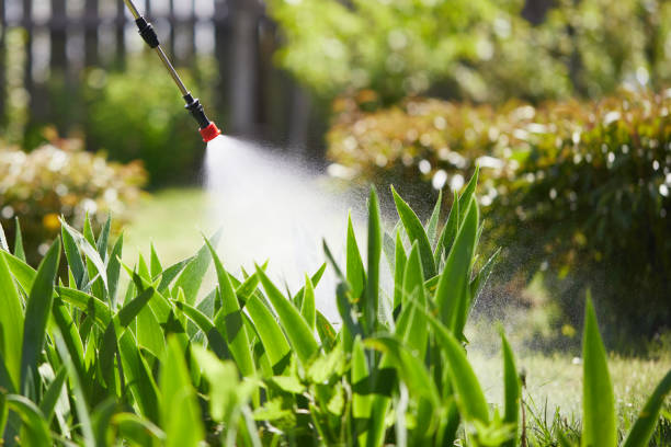 24/7 Emergency Termite Control experts in Amador Pines, CA